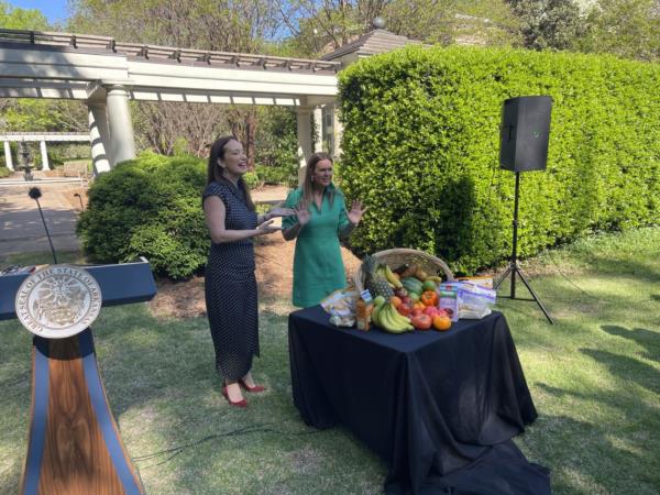 French Hill Highlights Big Beautiful Bill's Rural Healthcare Impact